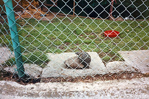 Click for next image...