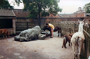 Click for previous image...