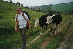 Click for previous image...