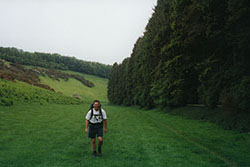 Click for previous image...