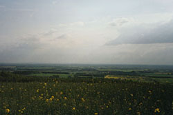 Click for previous image...