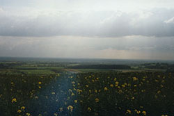 Click for next image...