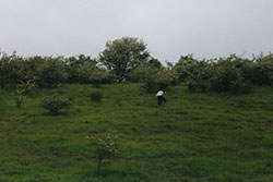 Click for next image...