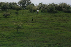 Click for previous image...