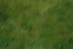 Click for next image...