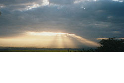 Click for previous image...