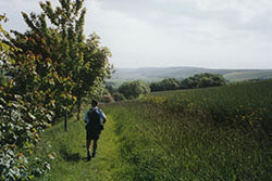 Click for next image...