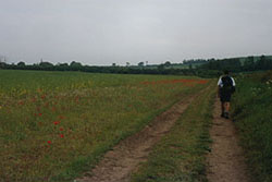 Click for previous image...