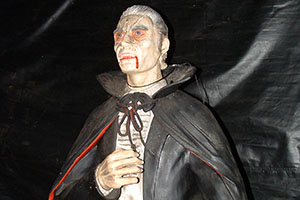 Click for previous image...