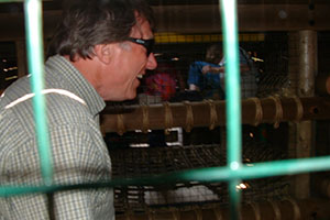 Click for next image...