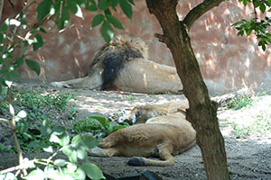 Click for next image...