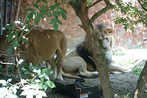 Click for next image...