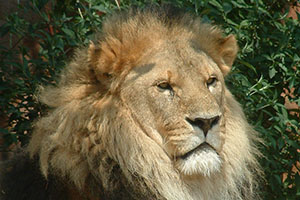 Click for next image...