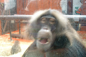 Click for next image...