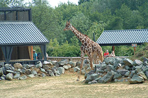 Click for next image...