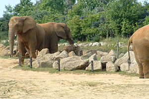 Click for next image...