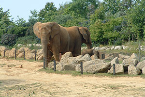 Click for next image...