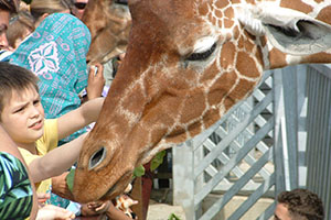 Click for next image...