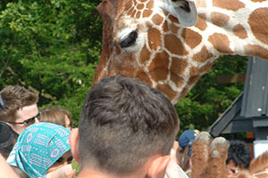 Click for previous image...