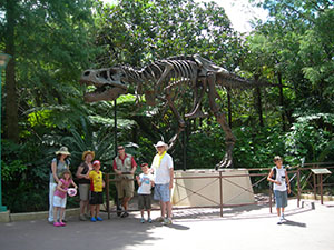 Click for next image...