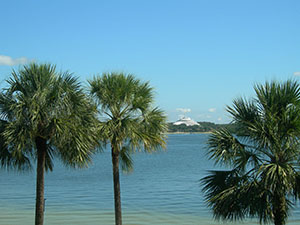 Click for next image...