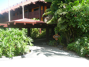 Click for previous image...