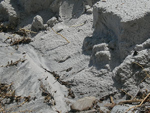 Click for next image...