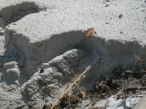 Click for previous image...