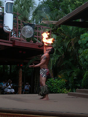 Click for previous image...