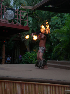 Click for previous image...