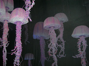 Click for next image...