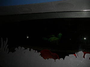 Click for previous image...