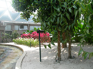 Click for next image...