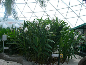 Click for next image...