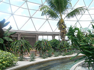 Click for previous image...