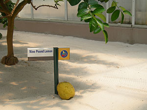 Click for previous image...