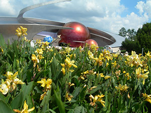 Click for previous image...