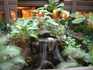 Click for previous image...