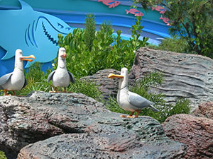 Click for previous image...