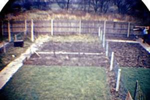 Click for previous image...