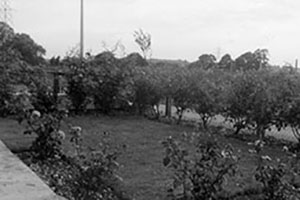 Click for next image...