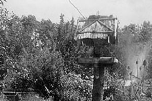 Click for next image...