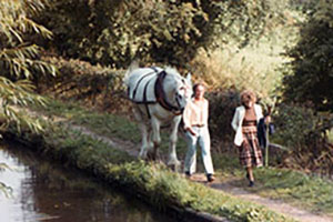 Click for previous image...