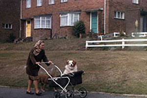 Click for next image...