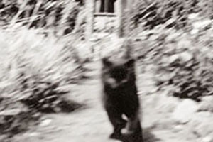 Click for next image...