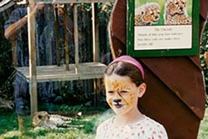 Click for previous image...