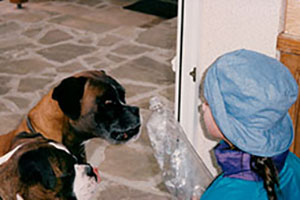 Click for next image...