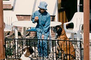 Click for previous image...