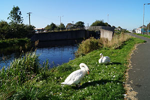 Click for next image...