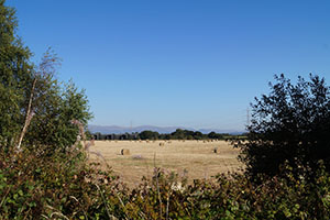 Click for previous image...